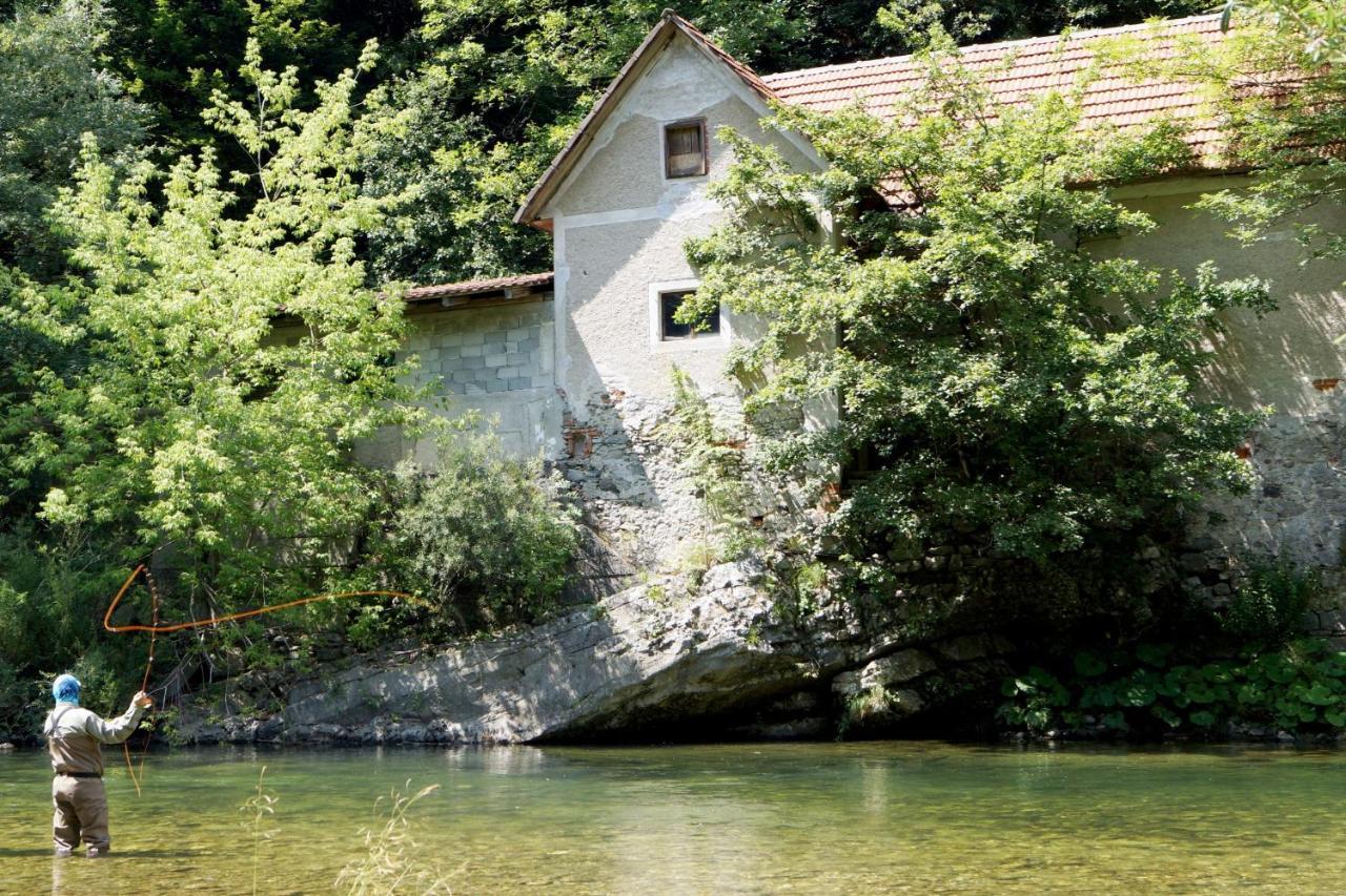 House Na Meji With Sauna Pivka Exterior foto