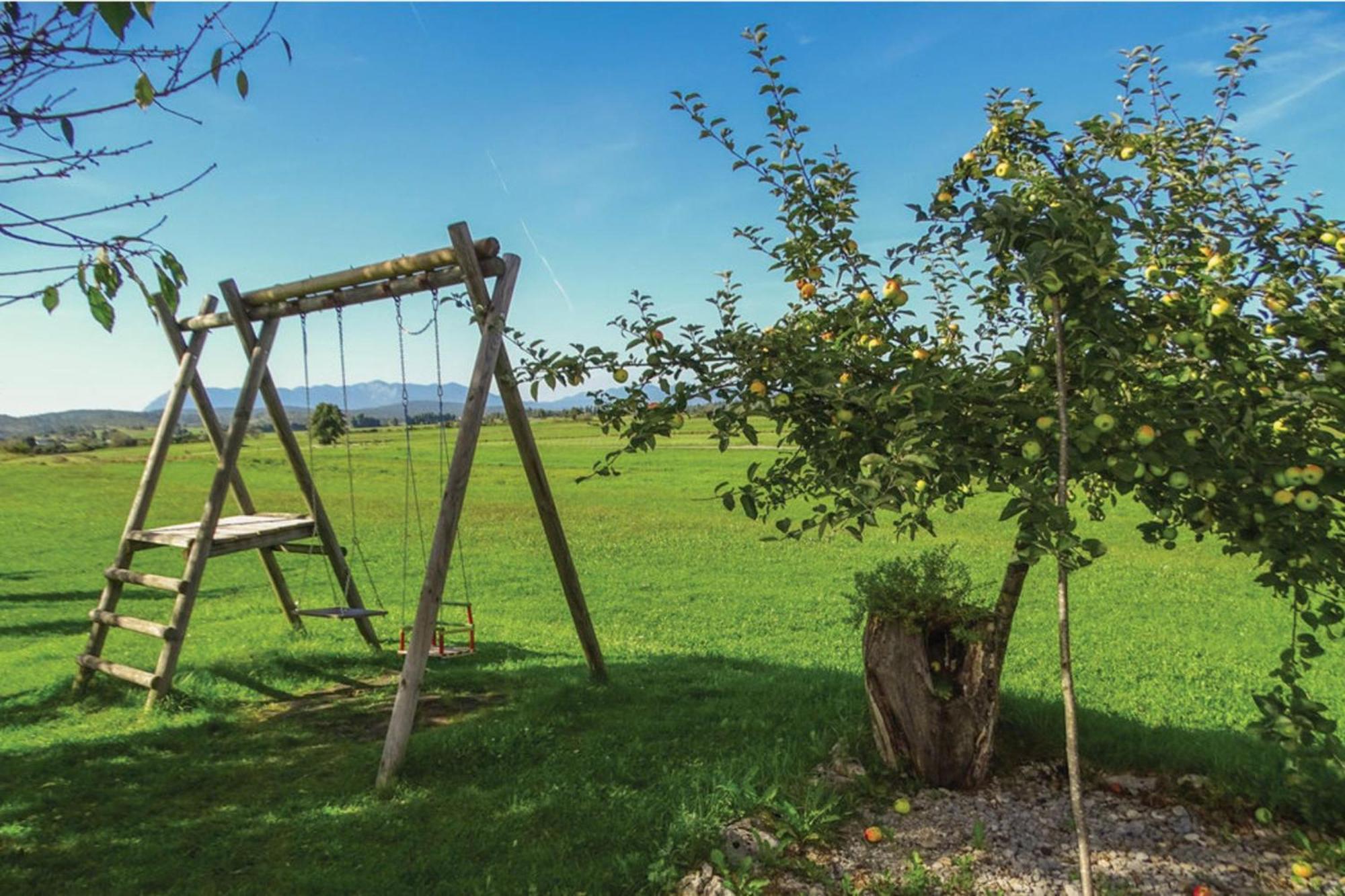 House Na Meji With Sauna - Happy Rentals Pivka Exterior foto